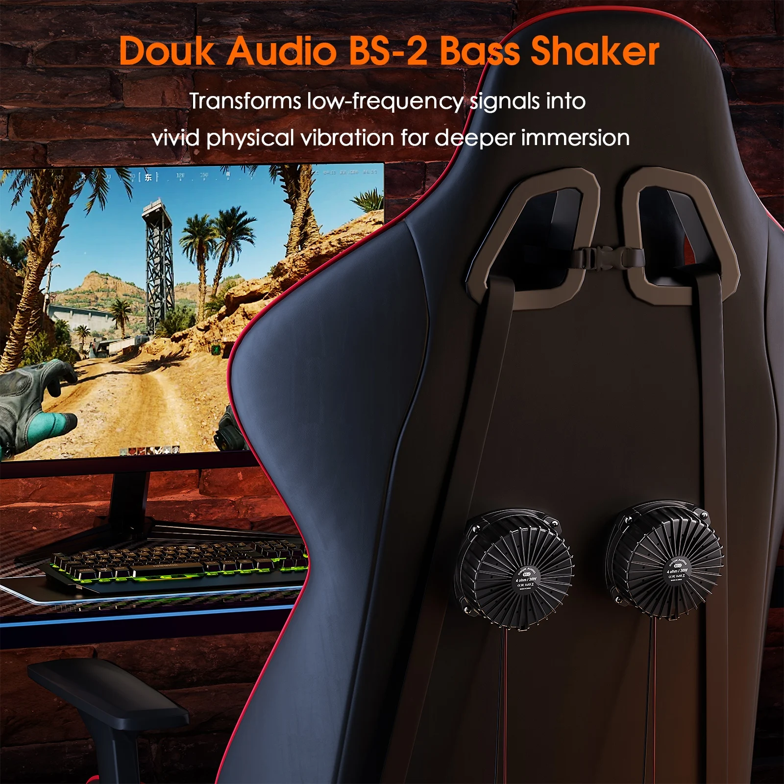 Douk Audio BS-2 30W 4Ω Bass Sh - Home Cinema Installation recension och pris