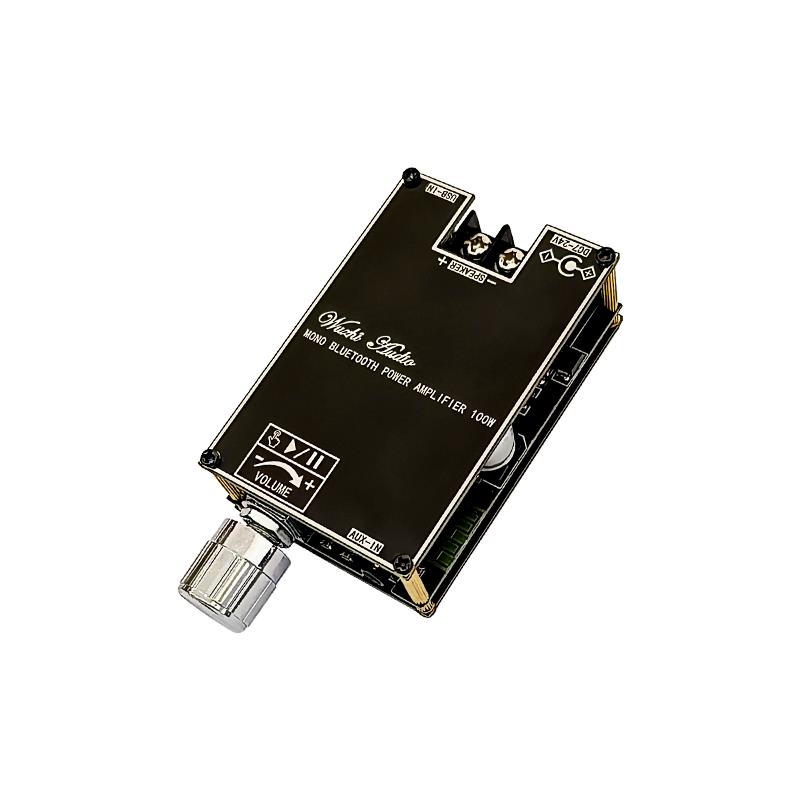 Bluetooth 5.1 TPA3116 D2 Mono  - Home Cinema Installation recension och pris