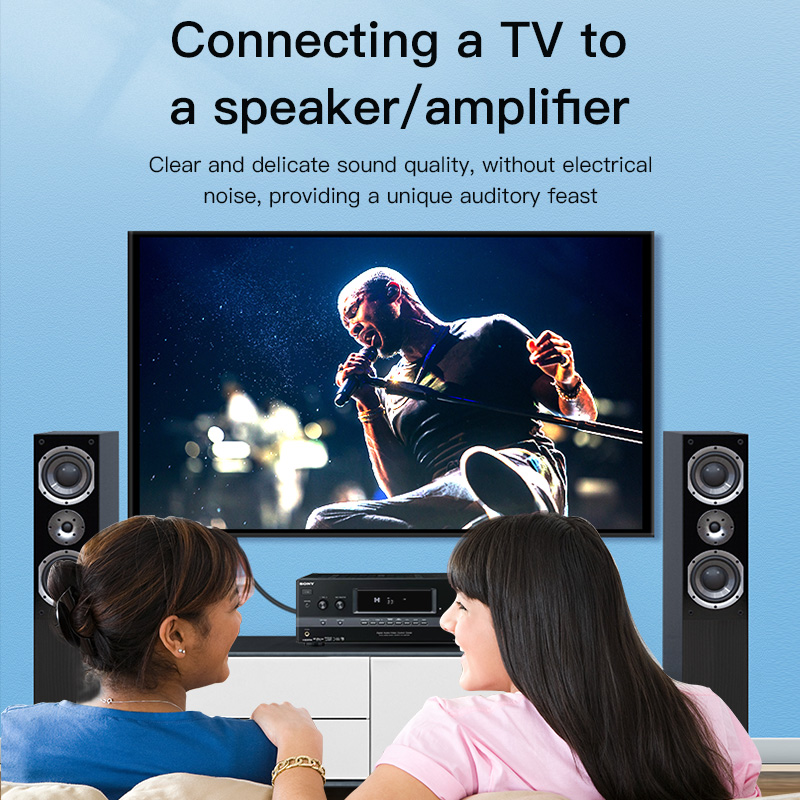 CHOSEAL RCA Cable Digital Coax - Home Cinema Installation recension och pris